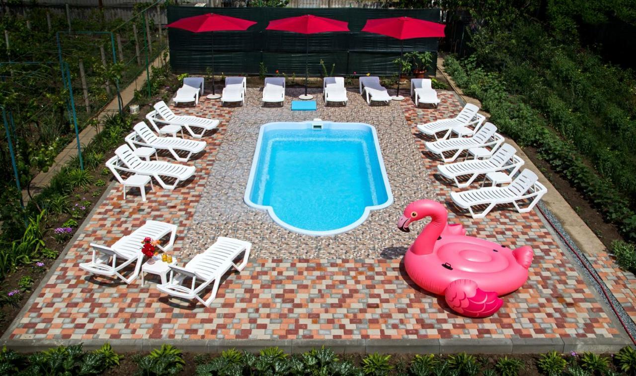 Guest House Kamenny Dom カロリノ・ブハス エクステリア 写真